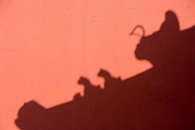 科乐美漫改手游《伊甸星原：口袋宇宙》2月24日上线